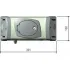 CAME FERNI 40230 автоматика для распашных ворот (КАМЕ) CAME FERNI 40230 автоматика для распашных ворот (КАМЕ)
