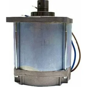 Электродвигатель E1024 CAME 119RIE072 (КАМЕ) Электродвигатель E1024 CAME 119RIE072 (КАМЕ)