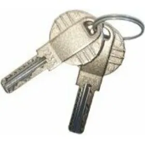 Ключ для тумбы GPT40 CAME 88003-0090 (КАМЕ) Ключ для тумбы GPT40 CAME 88003-0090 (КАМЕ)